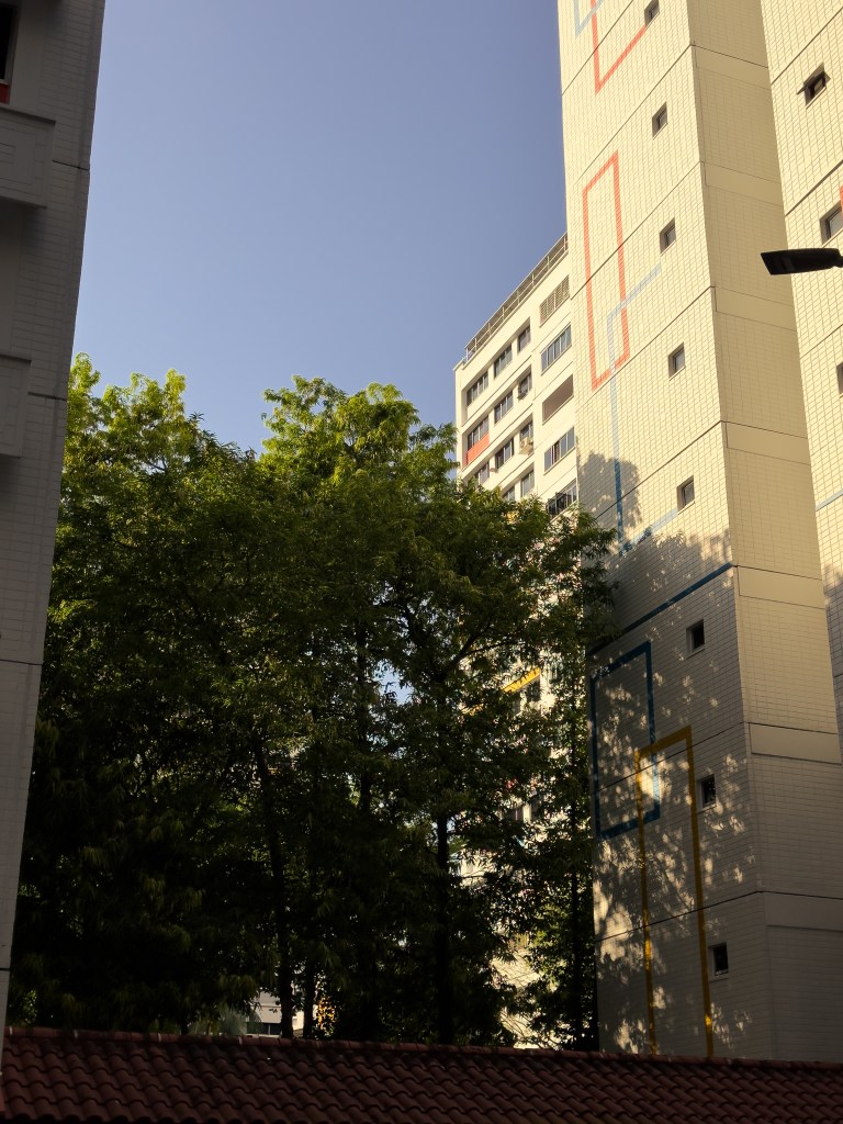 Scenic view of teck whye lane. 